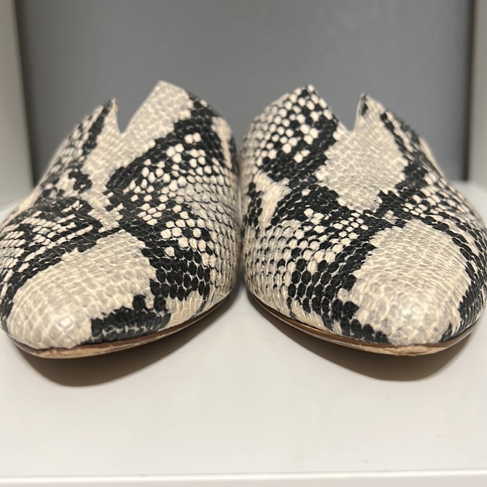 Steve Madden Ally Flats Slide Mule In Cream Snake… - image 5